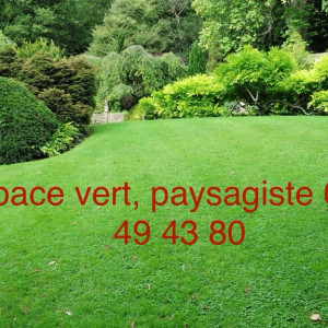 Paul R. (M. R. Auto)