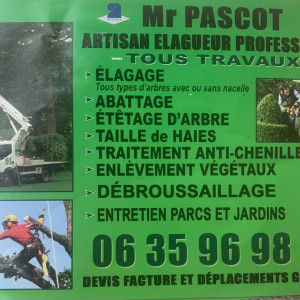 Alexandre Gaetan P. (Mr pascot)