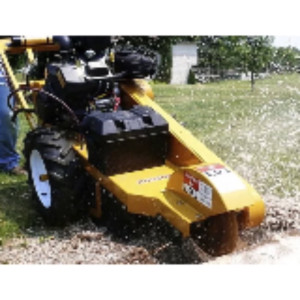 Richard G. (RG SERVICES)