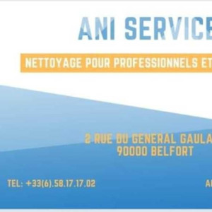 Anissa B. (Ani'services)