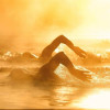 avatar Stephane C. (Cours D'Ô Sc-Natation)<