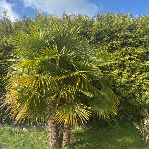 Carpentier W. (Entreprise Carpentier)