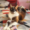 avatar Francoise Claire F.<