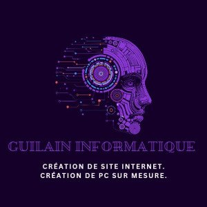 Anthony N. (Guilain informatique)