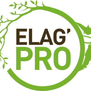 Abraham S. (schmitt elagage)