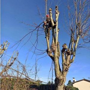 Damien L. (quatre trèfle)