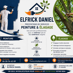 Daniel E. (elfrick)