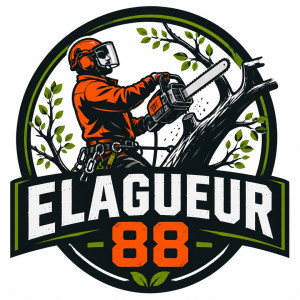 David A. (Elagueur AD)