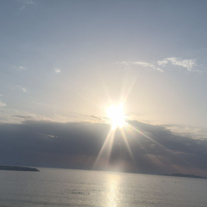 Tlemcani D.