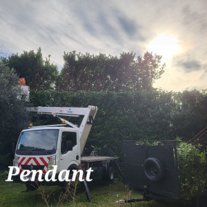 Moïse D. (Debord multi-service)