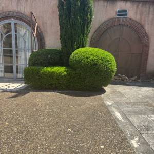 Robin S. (RS Parcs Et Jardins)