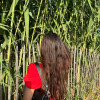 avatar Amyra Z.<