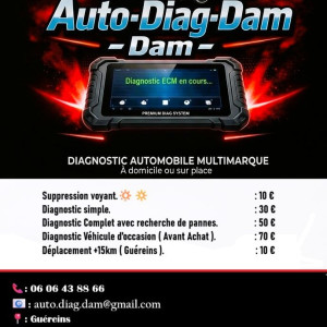 Damien D. (Auto-Diag-Dam)