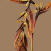 avatar Soufiane Y.<