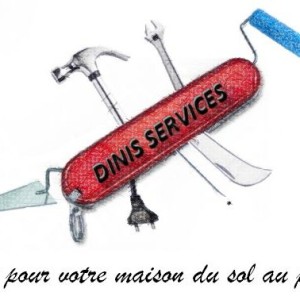 David D. (dinis services)