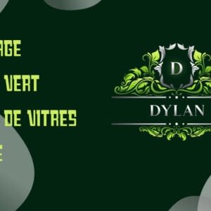 Dylan M. (dylan multiservices)