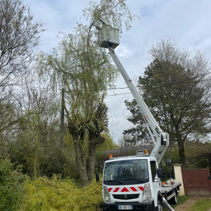 Tyson M. (Michelet, espace vert)