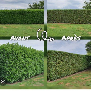 Jean D. (Speed nettoyage)