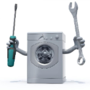 Olivier S. (Renov'occase91)