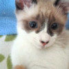 avatar Marie C.<