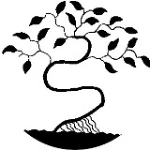 Carlos M. (lagarto caspi agencement)