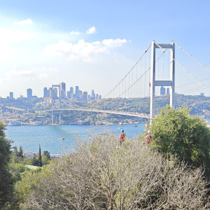 Erkan T.