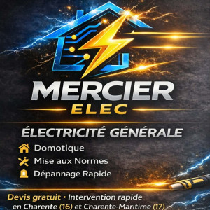 Theo M. (Mercier Elec)