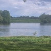 Sabi C.