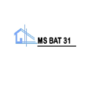 M.S BAT 31