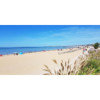 avatar Eleonore T. (Atlantica conciergerie)<