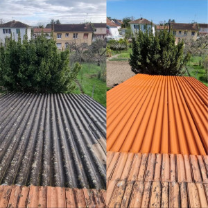 Levy M. (Marescot Levy)