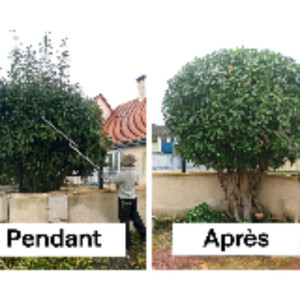 Laurent L. (LORIOLOCASS)