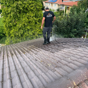 Sullivan F. (sullivan multiservice)