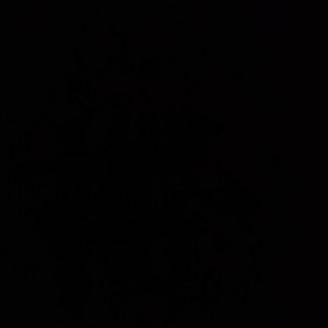 Alexandre D. (as rénovation)