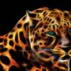 avatar Amanda S.<