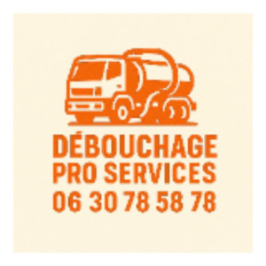 Renaud P. (Débouchage pro services)