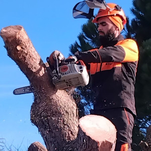 Denys R. (dénys multi service Espaces ...