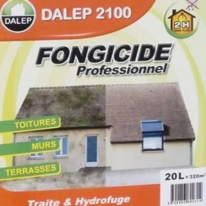 Szczesny T. (Szczesny Tony)