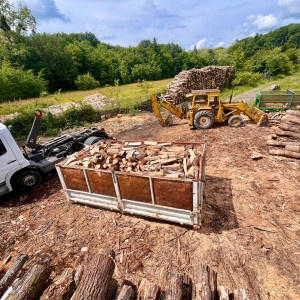 Mergim Z. (MTF BOIS)