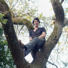 David F. (Fauvage David)