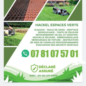 William R. (Hackel elagage)