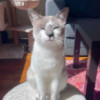 avatar Maya C.<