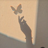 avatar Lamya A.<
