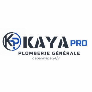 Kaya Pro