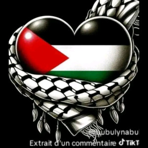 Abdelhamid B.