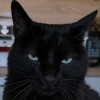 avatar Pierre P.<