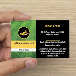 Hilton O. (ortica hilton)