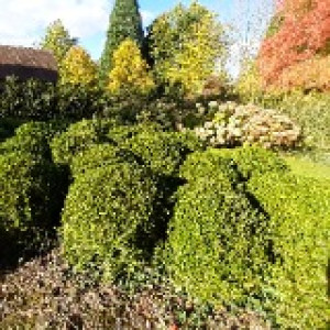 Thibault D. (thibault LANFRANC DE PANT...