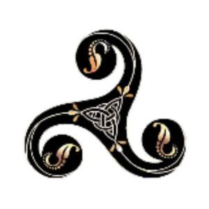 Christian D. (TRISKELL-Rénov)