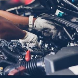 Yohan P. (aselm services)